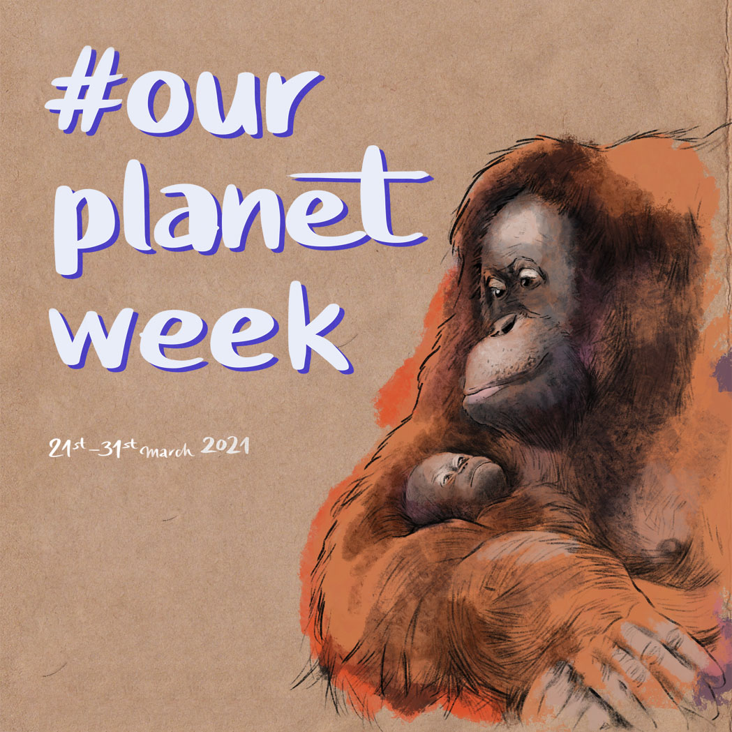 OPW_Orangutan_Quadrat
