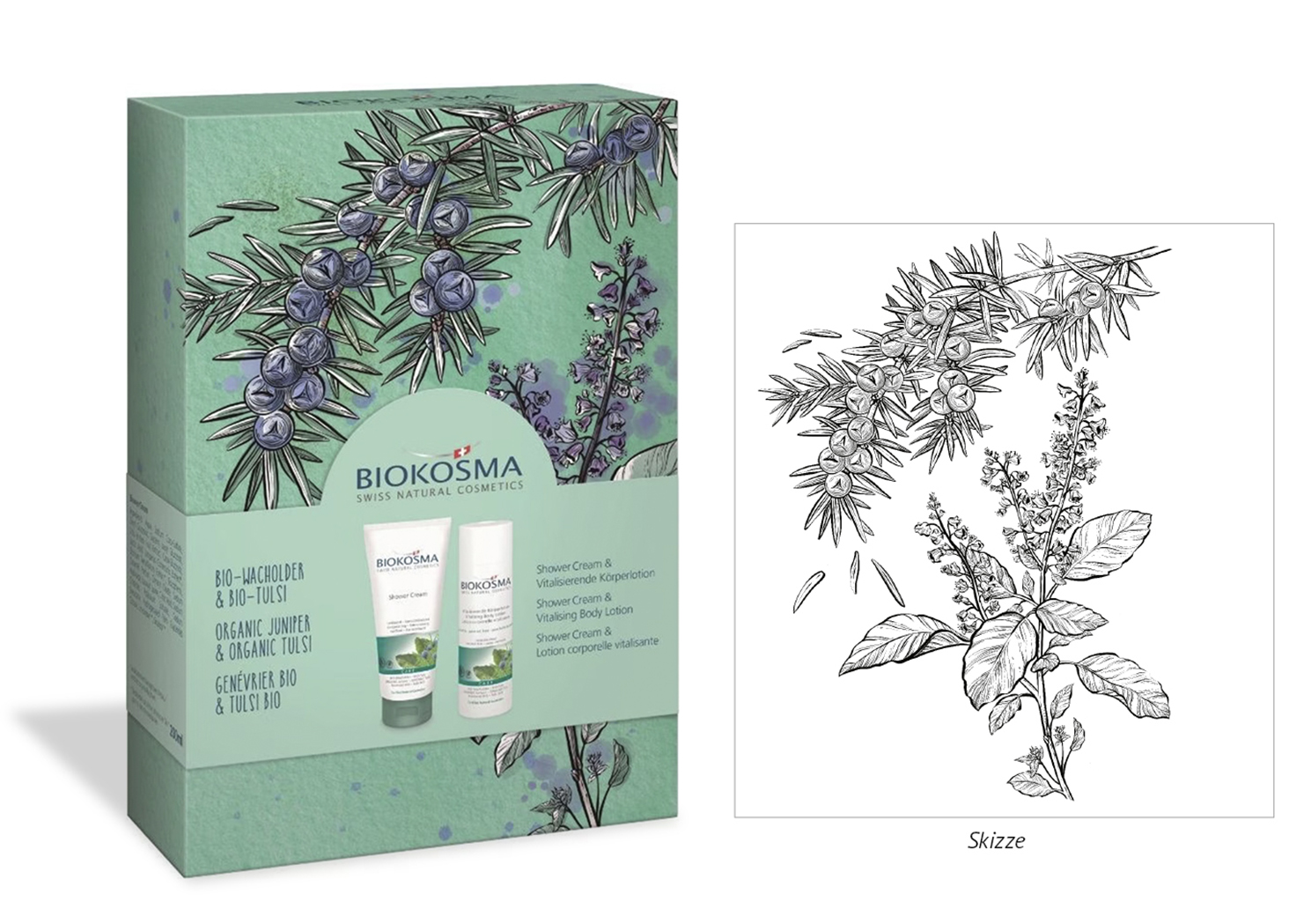 3_Biokosma_Wacholder